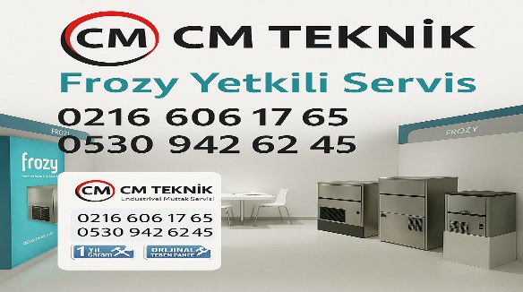 Frozy Servisi